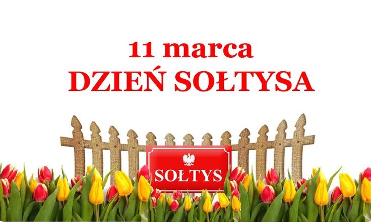 Czerwone i żółte tulipany dzień sołtysa